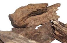 CEDRAMBER® ( CAS: 19870-74-7 )