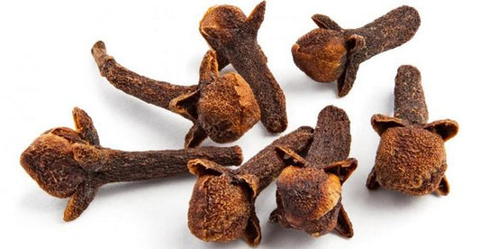 CLOU DE GIROFLE (Cas: 84961-50-2)