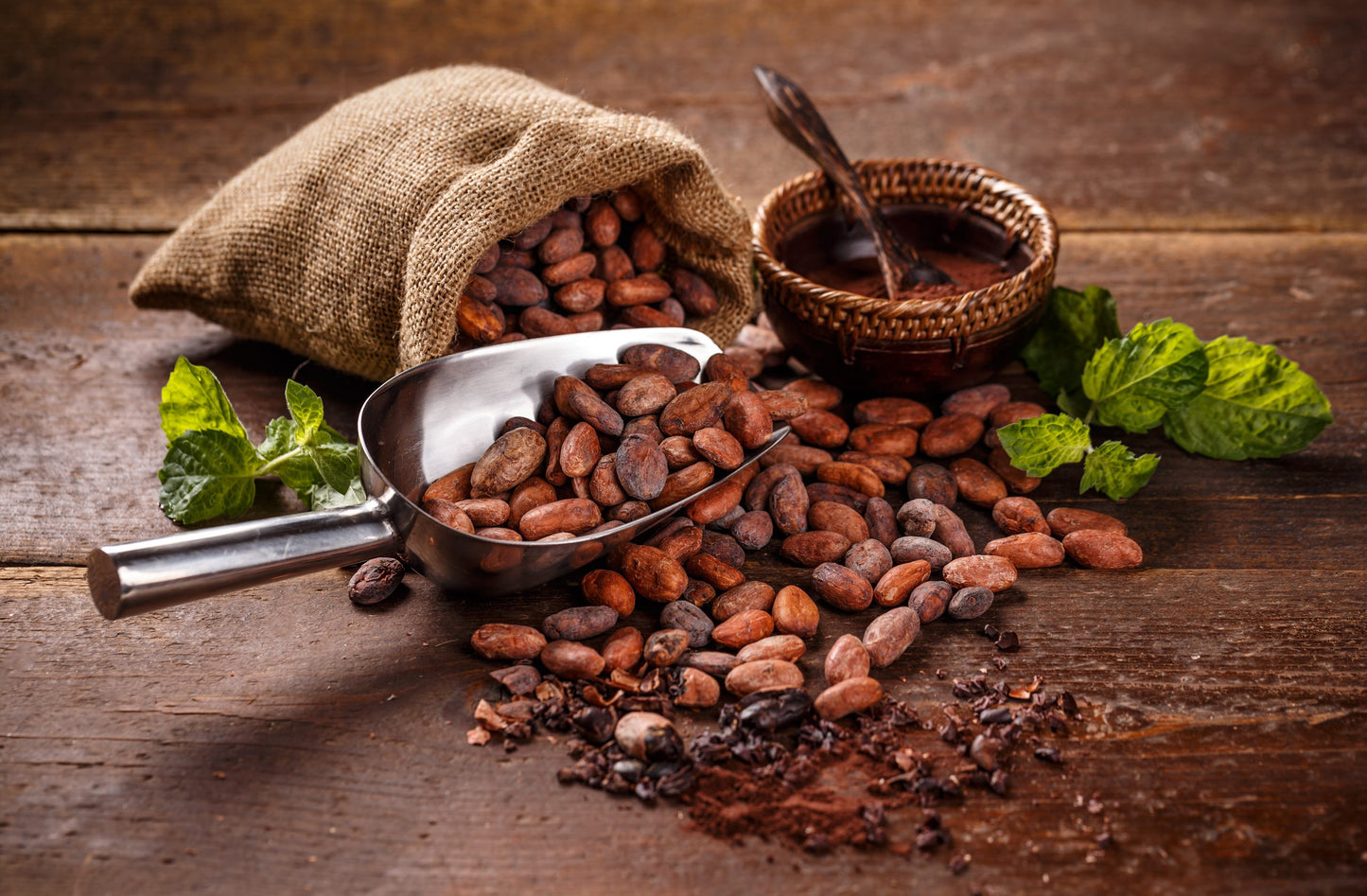 CACAO INCOLORE 95% (Cas: 84649-99-0)